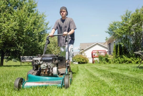 Blog - Teen Summer Job